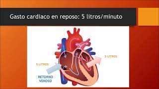 Gasto cardiaco [upl. by Nimocks]