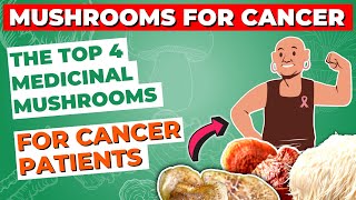 The Top 4 Medicinal Mushrooms for Cancer Patients [upl. by Sineray]