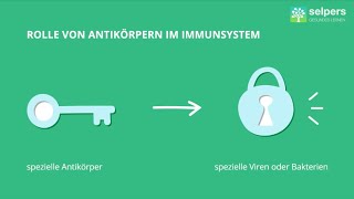 Antigene und Antikörper Experte erklärt [upl. by Ferri]