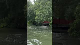 Melaka Riverside melaka riverside malaysia viral trending nature love shortsfeed boatrides [upl. by Bartko]