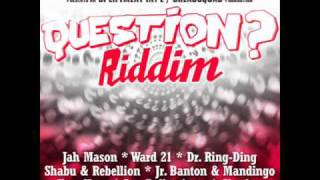 Dreadsquad  Question Riddim promomix [upl. by Herzen]