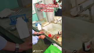 Sodium metal with Water [upl. by Gina]