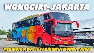 Entah Kapan Ada Lagi Saya Merasa Beruntung Bisa Naik Bus GAJAH MUNGKUR Trip Langka Bus Langka [upl. by Eitirahc]