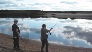 Laksefiskeri i Lagan Laholm Sverige [upl. by Jo Ann]