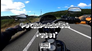 【やって良かったカスタム5選】後編  HarleyDavidson FXDLS Low Rider S [upl. by Ihsar]