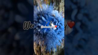 WEEKEND AWAY ❤️ video short love engagement explore earth nature [upl. by Ranilopa]