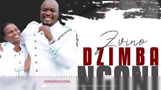 MAMBO DHUTERERE  ZVINONYADZISA OFFICIAL AUDIO [upl. by Atidnan]