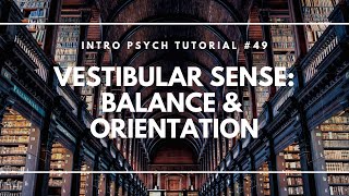 Vestibular Sense Balance amp Orientation Intro Psych Tutorial 49 [upl. by Adams]