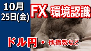 【TAKA FX】ドル円他各通貨の環境認識解説。各種指数、GOLDなど 10月25日金 [upl. by Lorry]