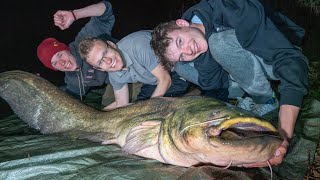 Welsangeln im kleinen Fluss 100 Kilo Fisch gefangen [upl. by Constanta161]