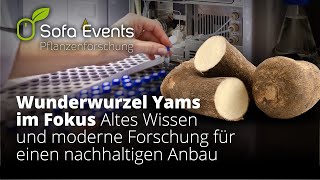 Sofa Event Pflanzenforschung  Wunderwurzel Yams im Fokus [upl. by Corvese]