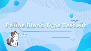 How to use the Feline Blood Type Rapid Test kit [upl. by Ahsekram]