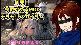 【SKYRIM】初見！今更始めるMODモリモリスカイリム！【＃7】 [upl. by Champagne]