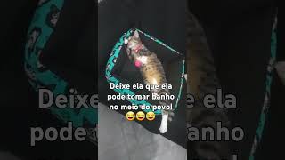 Minha cat tomando banho sem vergonha 😂😂😂😂 [upl. by Othella166]