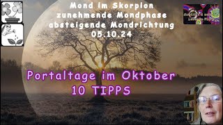 Portaltage im Oktober  10 Tipps wie du damit umgehen kannst [upl. by Nedi]