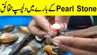 Pearl Stone Documentary In Urdu  Moti  pearl Stone History By Dilchasp Khoj [upl. by Desdamona360]