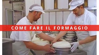 Come si fa il formaggio friulano il mestiere del Casaro latteria sociale Aviano formaggio Montasio [upl. by Reggy]