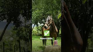 🌟 ¡Salud digestiva garantizada con PRO CMC 🐴 [upl. by Ayotas]