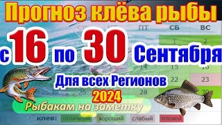 Прогноз клева рыбы на неделю с 16 по 30 Сентября Прогноз клева Лунный Календарь рыбака [upl. by Janie]