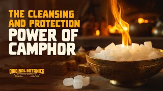 Camphor Magic how to use the powers of Camphor [upl. by Auqeenahs681]