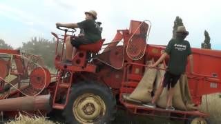 Oldtimer Treffen Made in Rechnitz Südburgenland Dreschkirtag 5Dreschkirtag 16 August 2015 Teil 46 [upl. by Lyndel]