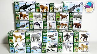 24 SEA ANIMALS WILD ANIMALS ZOO ANIMALS  Takara Tomy Ania animal toy collection [upl. by Hellah]