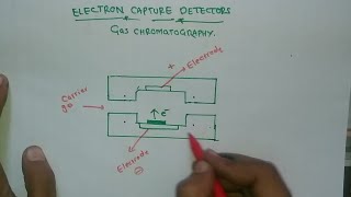 Making diagram for Electron capture detectorGas chromatographyFastest ever making [upl. by Andri]