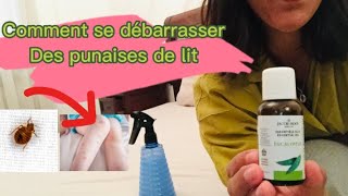 Comment se débarrasser des punaises de lit actuce naturelles et efficaces 👍🏼 [upl. by Nolram695]