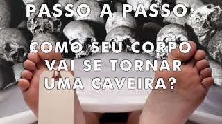 Coisas que acontecerão com seu corpo após sua morte  O PORQUÊ DAS COISAS [upl. by Alimak]