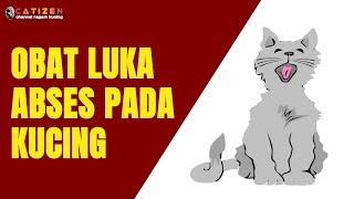 Cara Mengobati Luka Abses pada Kucing  How to Treat a Cats Abscess EngSub [upl. by Dihahs]