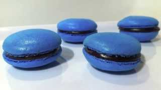 HOW TO MAKE FRENCH MACARONS a tutorial video [upl. by Navinod]