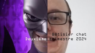 Bêtisier chat  Deuxième trimestre 2024 [upl. by Aidan]