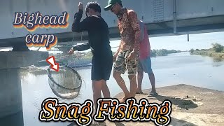 Snag fishing bighead carp fishing [upl. by Corina647]