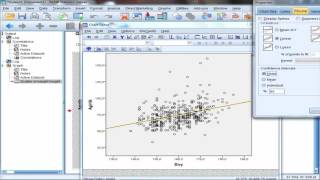 SPSS ile Pearson ve Spearman Korelasyon Analizi [upl. by Biagi]