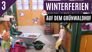 3 Winterferien auf dem Grünwaldhof ☃️  Schleich Serie 🎄 61220 [upl. by Fem]