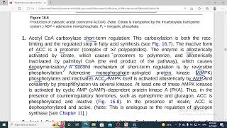 252 Fatty acid de novo synthesis  acetyl coA carboxylase 3 [upl. by Matthia]