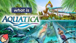 Aquatica Orlando Overview [upl. by Alyat]