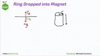 Ring Dropped into Magnet  Magnetic Fields Level 5 [upl. by Niryt258]