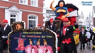 Dammer Carneval  Sonntagsumzug 2018 [upl. by Swope]