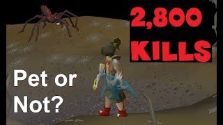 Loot from 2800 Venenatis Kills  Pet or Not OSRS [upl. by Talya]