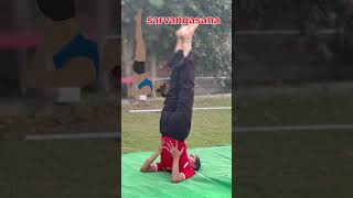 matsyasana paschimottanasana sarvangasana suptakurmasana yogalife trending [upl. by Gratia19]