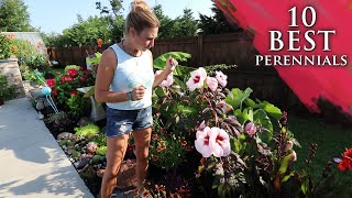 10 BEST perennials for your garden  Lots of colorful flowers [upl. by Elleinnod955]