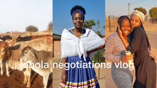 vloglobola negotiationsbecoming Mrsa promise kept mtase♡ [upl. by Merla]