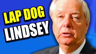 Lindsey Graham INSTANTLY HUMILIATED As Trump Defense Backfires [upl. by Morley]