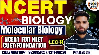 NCERT Biology Classes 2024  Molecular Biology  NCERT Complete Preparation for NEET  CUET  NCERT [upl. by Ilecara]