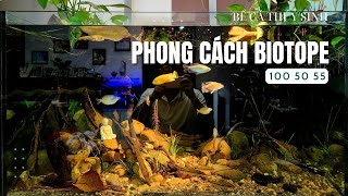 Bể Biotope 100x50x55cm đầu tay [upl. by Aicat440]