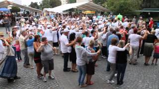 WochenKurier  FlashmobAnnemariePolka in Lübbenau [upl. by Elisee]