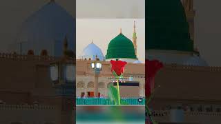 Madina me dil chorh aye he [upl. by Jadd120]