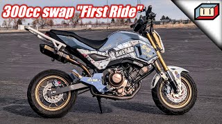 Ripping the 300cc Swapped Grom [upl. by Naujd]