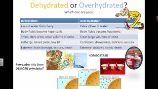 Dehydrated or Overhydrated IB BIology [upl. by Fosdick896]